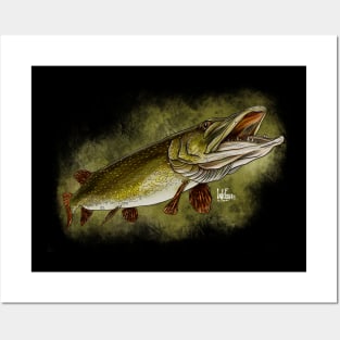 Northern pike Posters and Art